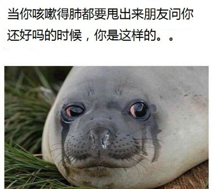 全球趣图精选第50弹(12)