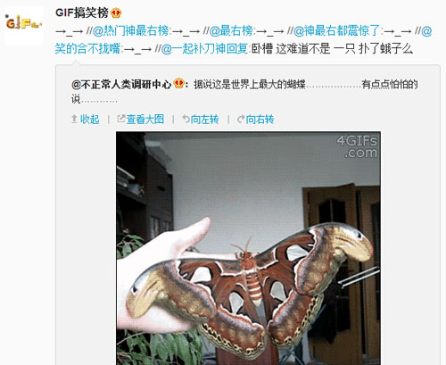 微博神最右盘点第94弹(8)