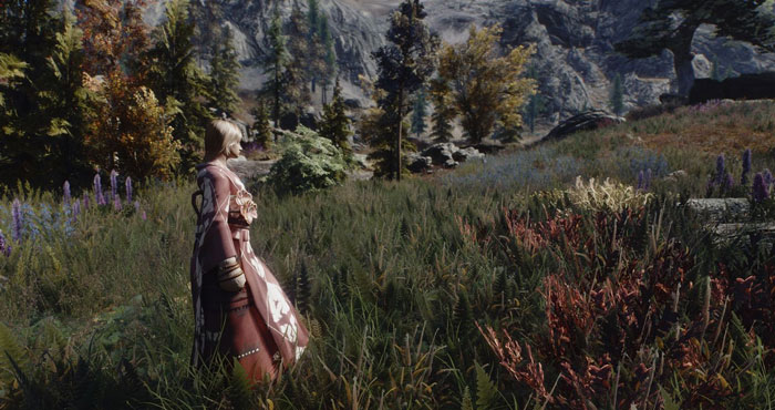 《上古卷轴5天际》MOD精美截图(7)