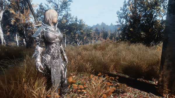 《上古卷轴5天际》最新MOD截图(15)