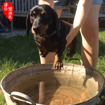 囧雷傻缺GIF图系列126(2)