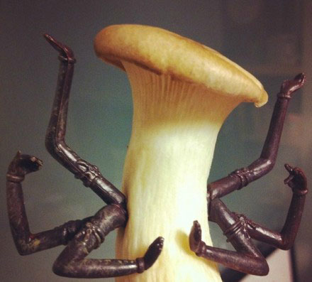 全球趣图精选第50弹(17)