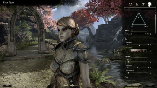 美服《上古卷轴》角色截图(4)