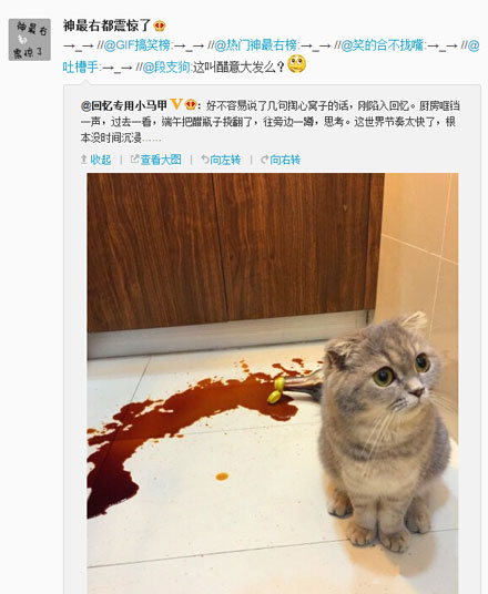 微博神最右盘点第95弹(6)