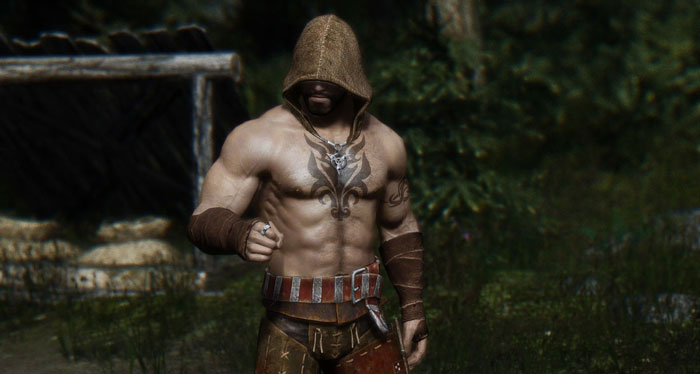 《上古卷轴5天际》MOD精美截图(5)