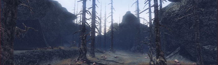 韩服《霸王大陆2》最新截图(9)