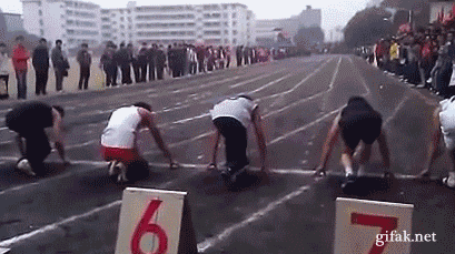 低智商生物搞笑GIF(6)