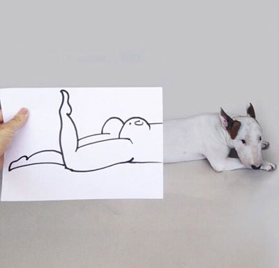 牛头梗Jimmy72变搞笑图集(12)