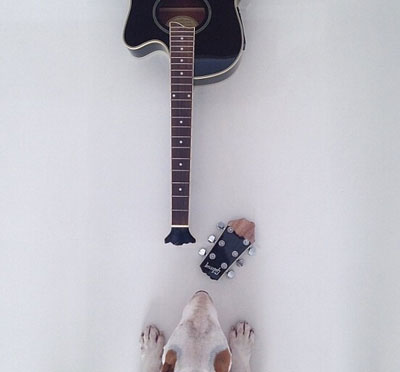 牛头梗Jimmy72变搞笑图集(26)