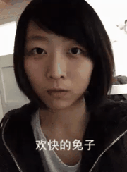 9种兔子表情搞笑GIF(5)