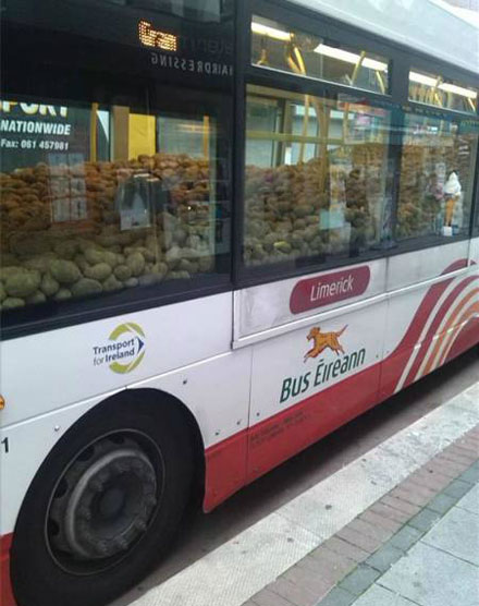 全球趣图精选第50弹(26)