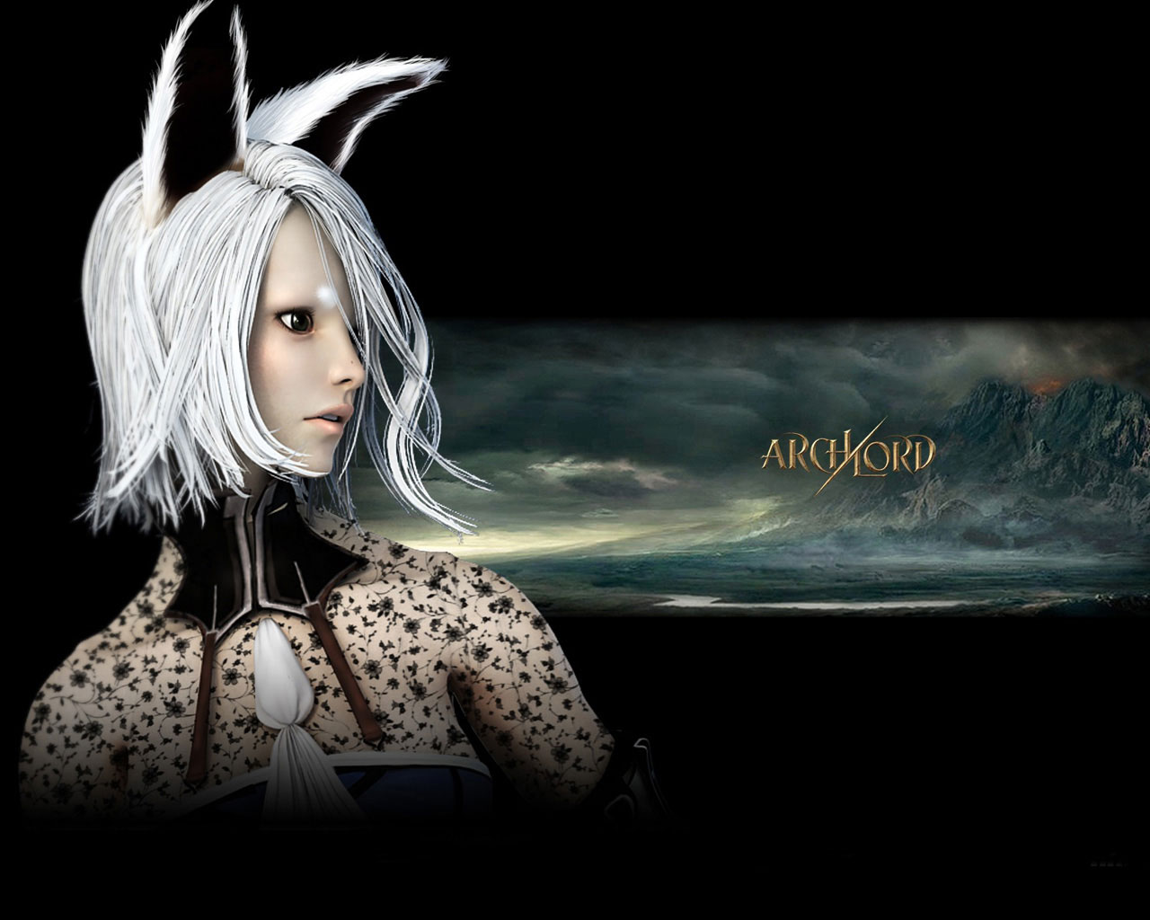 《霸王大陆》电脑桌面壁纸(6)