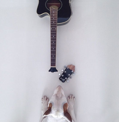 牛头梗Jimmy72变搞笑图集(5)