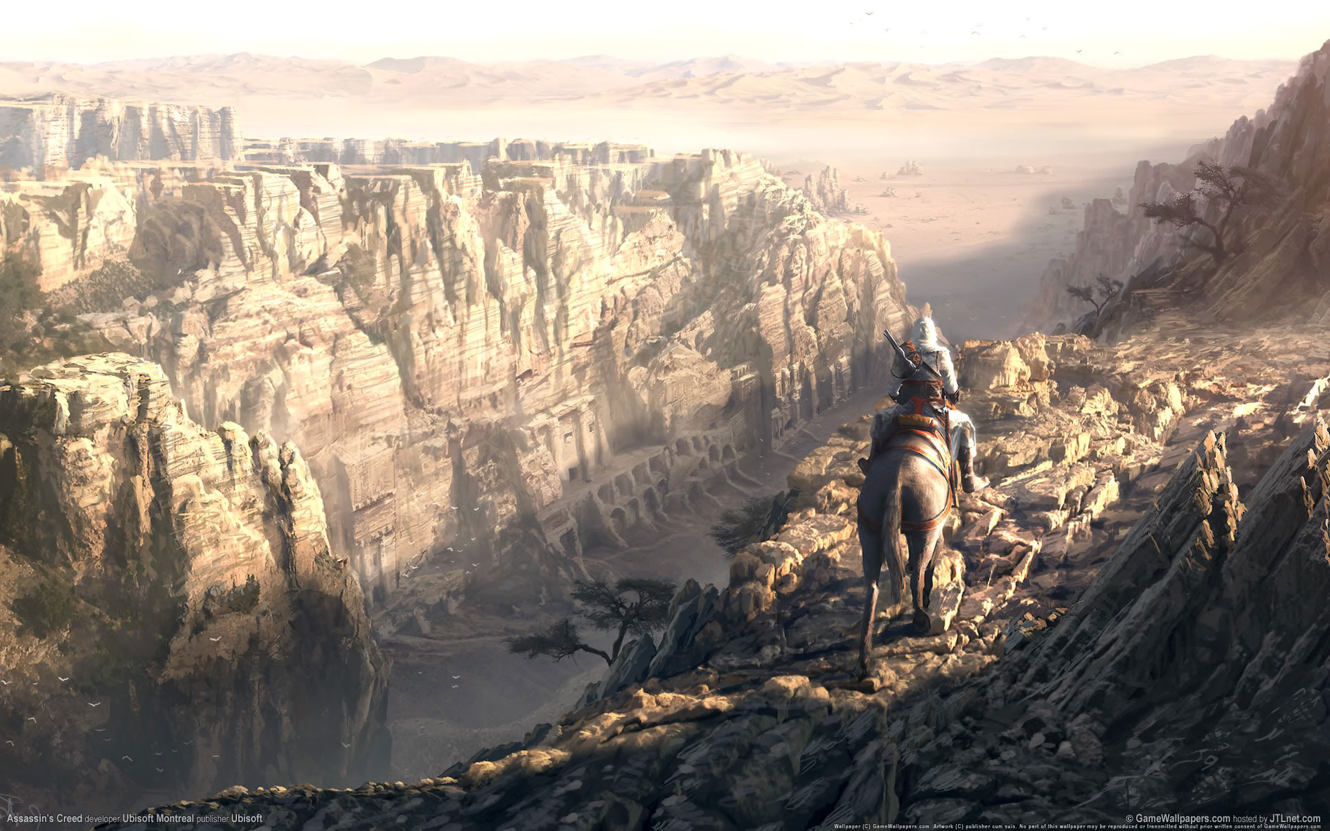 《刺客信条4》电脑宽屏壁纸(3)