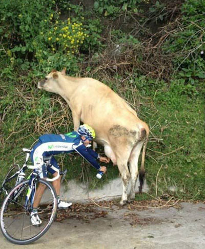 全球趣图精选第52弹(20)