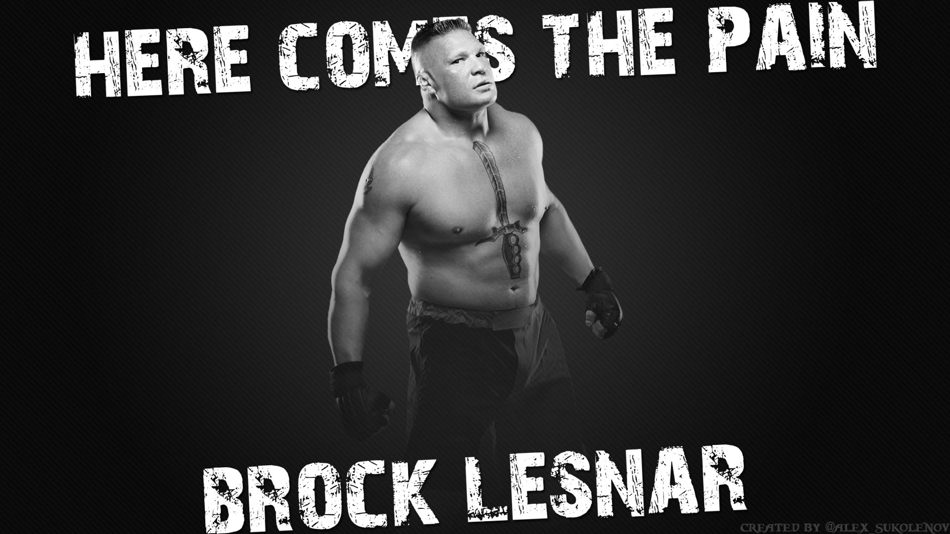 《美国职业摔角联盟13》宽屏壁纸(7)