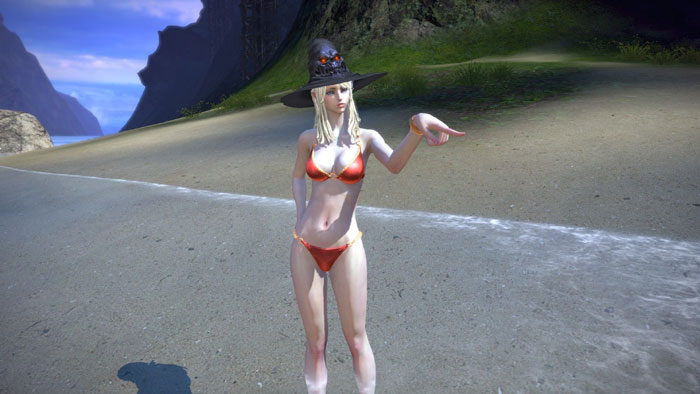 《TERA》性感比基尼美女截图(9)