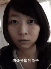 9种兔子表情搞笑GIF(9)