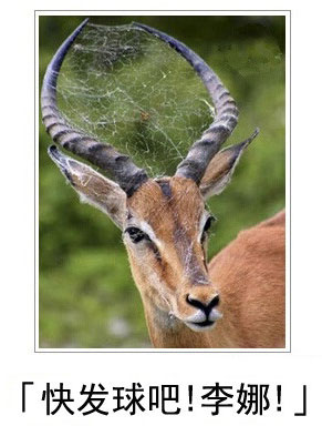 微博恶搞日式冷吐槽第三十八弹(5)