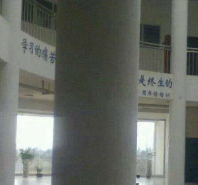 全球趣图精选第55弹(23)