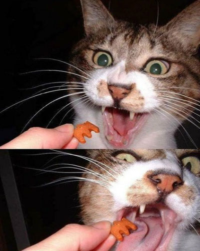 全球趣图精选第53弹(7)