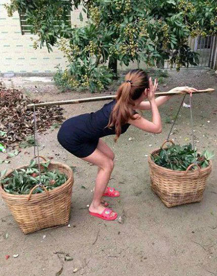 全球趣图精选第56弹(21)