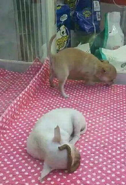 全球趣图精选第56弹(24)