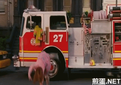 囧雷傻缺GIF图系列133(11)