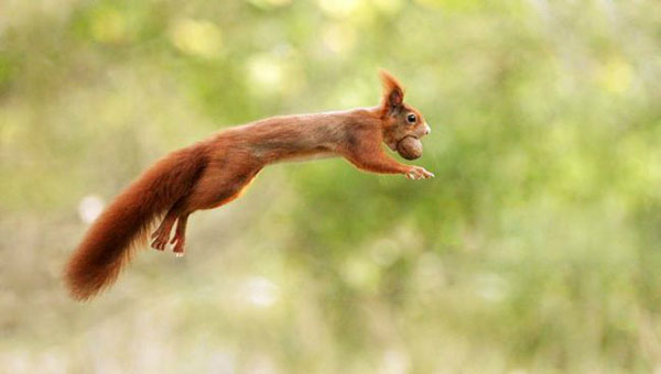 全球趣图精选第54弹(10)