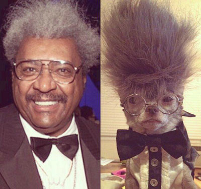 全球趣图精选第55弹(4)