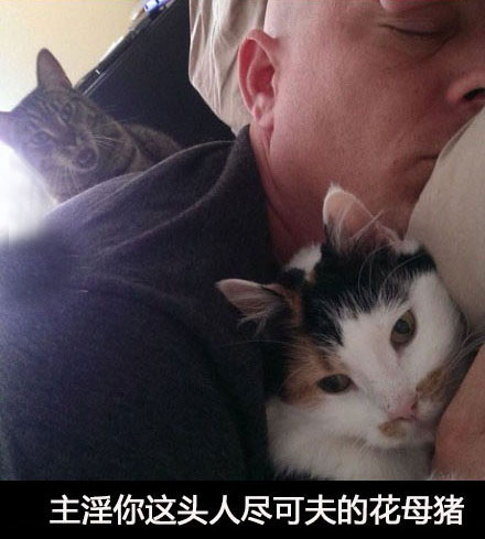 那些神一样的配文搞笑图片(7)