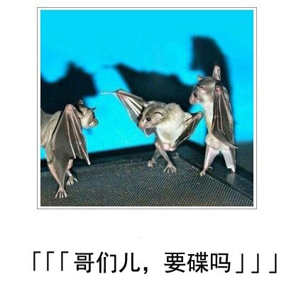 微博恶搞日式冷吐槽第三十九弹(13)