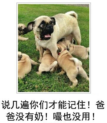 微博恶搞日式冷吐槽第四十一弹(4)