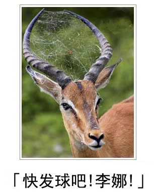 微博恶搞日式冷吐槽第四十弹(5)