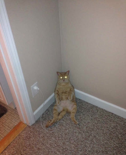 全球趣图精选第54弹(22)