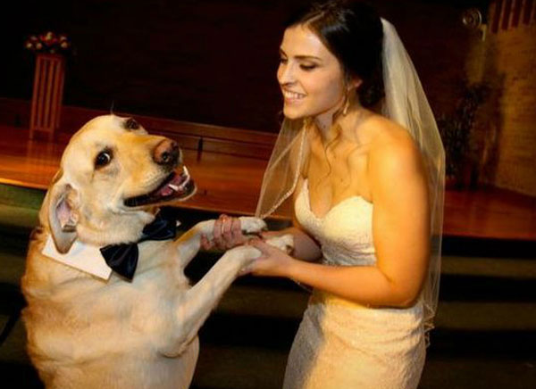 全球趣图精选第56弹(2)