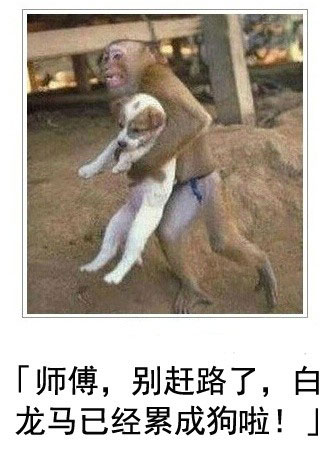 微博恶搞日式冷吐槽第三十九弹(5)