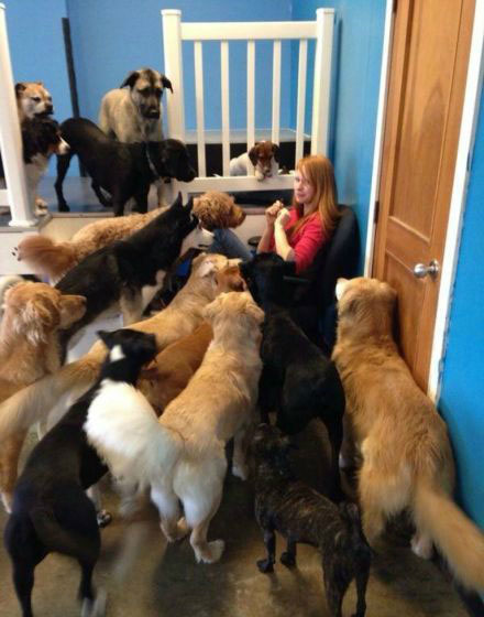 全球趣图精选第56弹(6)