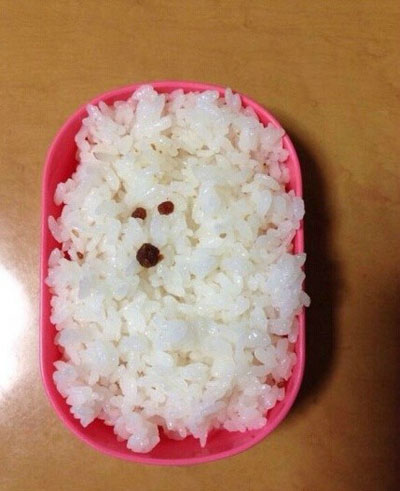 全球趣图精选第53弹(9)