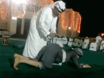 有钱就是这么任性搞笑GIF(4)