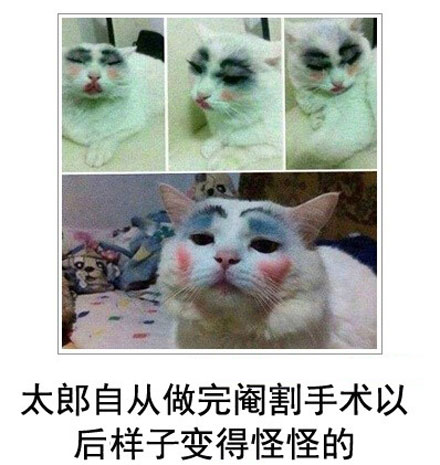 微博恶搞日式冷吐槽第四十一弹(3)