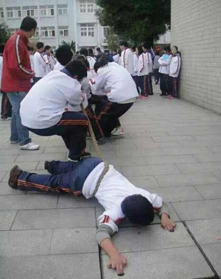 全球趣图精选第55弹(17)