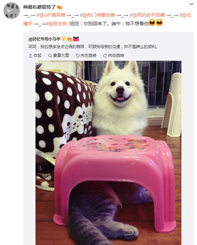 微博神最右盘点第97弹(5)