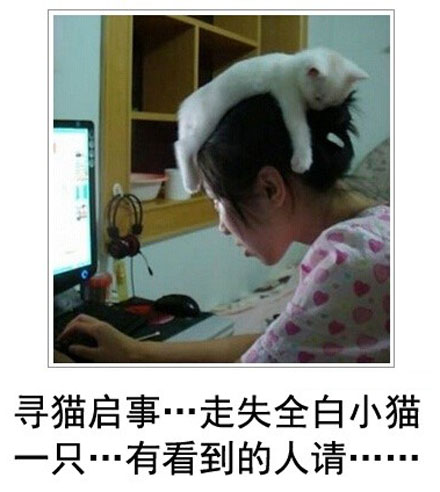 微博恶搞日式冷吐槽第四十一弹(8)