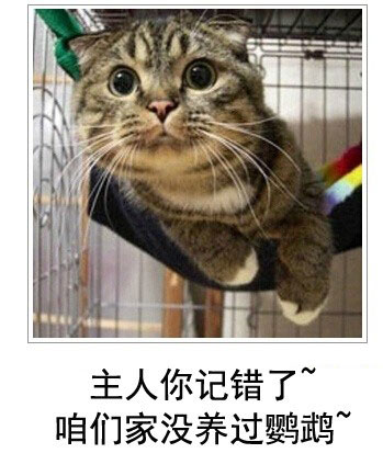 微博恶搞日式冷吐槽第四十弹(6)