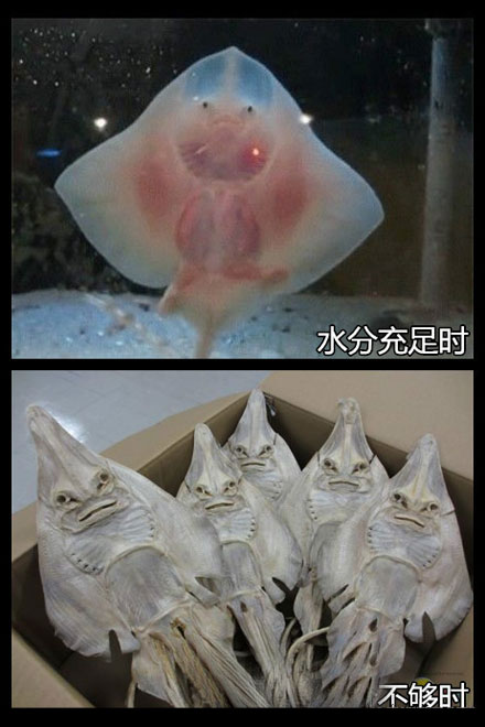 全球趣图精选第58弹(6)