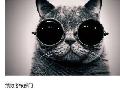 上班族各单位从业者表情萌宠版搞笑图片(17)