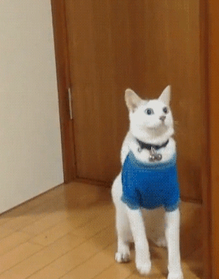 囧雷傻缺GIF图系列137(9)