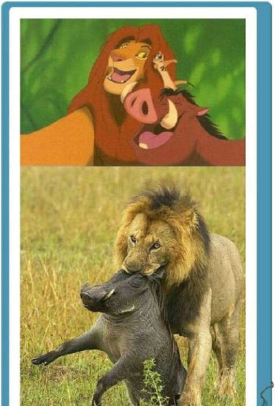 全球趣图精选第59弹(16)