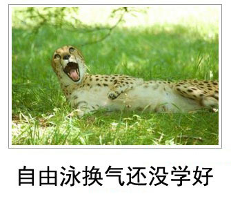 微博恶搞日式冷吐槽第四十二弹(9)